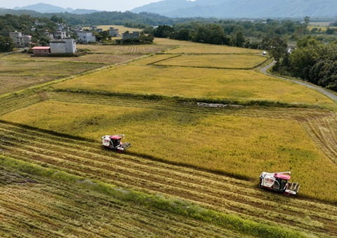防城港市阐扬“地皮综合整治+”效应&nbsp;&nbsp;引发村落振兴活力