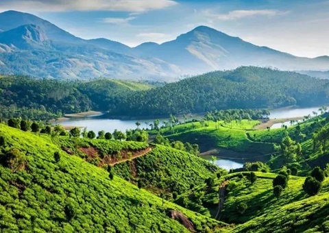 陕西在全国率先成立省级天然资源领域生态；ぷ菹蜃酆吓獬セ