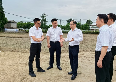 胡云赴眉山调研耕地；だ煤透叱叨扰┨锝ㄉ韫ぷ