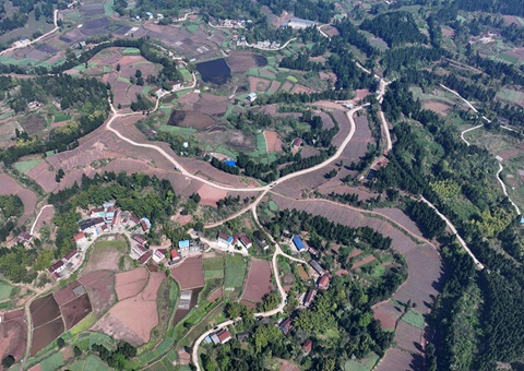 内江市东兴区局全面做好耕地； 全力做好用地保险