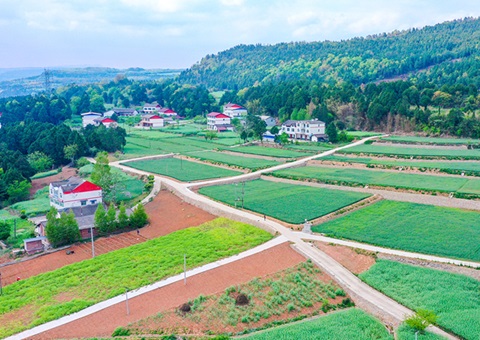 广元市奉杏装卫星田长”科技助力精准；じ