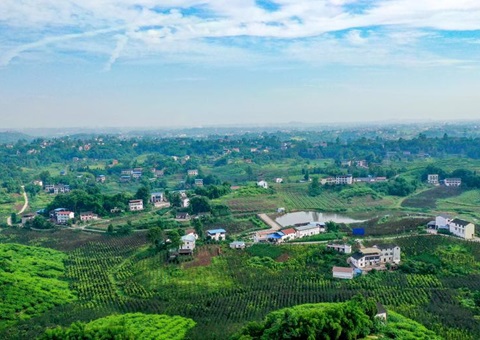 2024年度四川省沉点区域天然资源统一确权登记项目启动