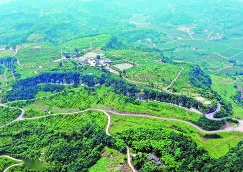 广安市地皮综合整治为村落振兴“塑形”