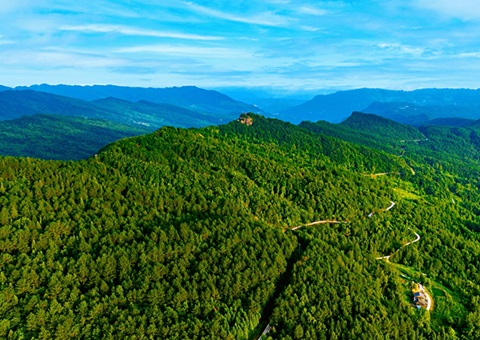 四川颁布第4号总林长令&nbsp;&nbsp;全面深入集体林权造度鼎新