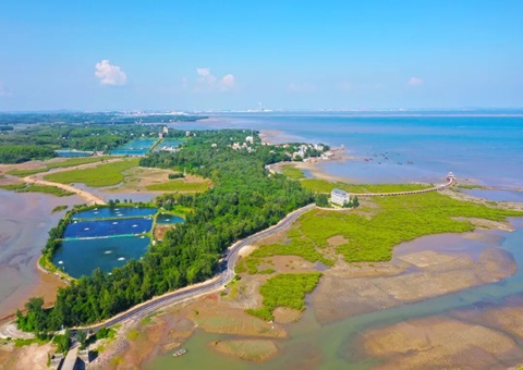 广西北部湾畔：村庄规划引领古渔村“蝶变”