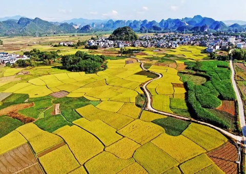 强化“指挥棒”作用&nbsp;&nbsp;柳州市发放500万元耕地；ぁ凹だ彀