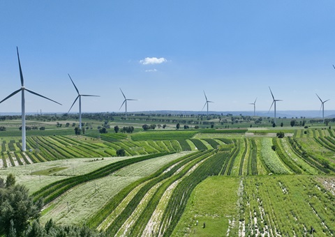 陕西省榆林市定边县：河山空间规划“一张图”实现业务“一站式”高效解决