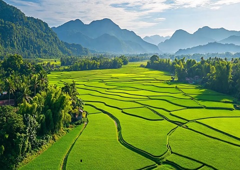 “天然资源+税务”协同共治！崇左筑牢耕地；び胨笆铡八老摺