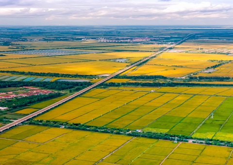 辽宁省盘锦市天然资源局实现辽河油田2023年石油钻井及配套设施项目占用永远根基农田补划地块验收工作