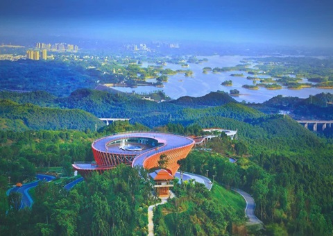 治用地荒、活闲置林、降安葬费……成都生态留想林探路林权多元利用