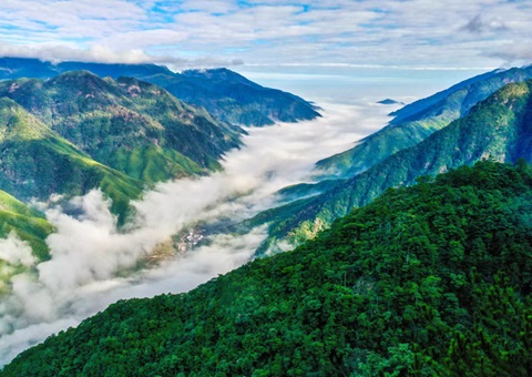 “组合包”，通顺生态产品价值转化