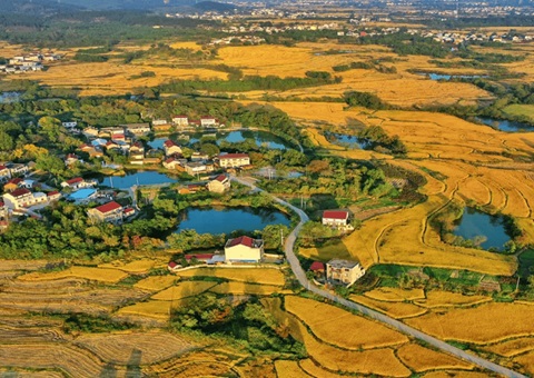 四川出台政策性金融支持全域地皮综合整治工作的通知