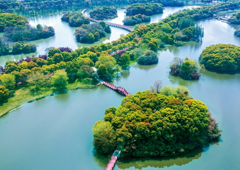 江西省湿地；ぢ室汛61.99%