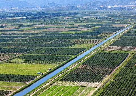 广西强化一时用地地皮复垦监管<br>激励地皮复垦规划审查和一时用地审批并联解决