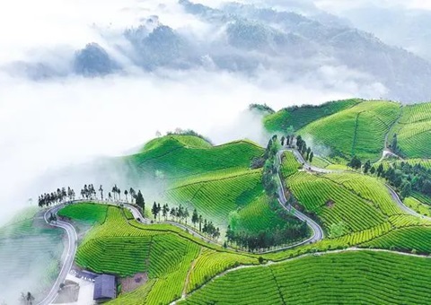 湖北省在全国率先实现林权与不动产登记数据互通