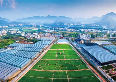 江西赣州充分阐扬规划技术力量服务村落振兴——把村庄规划工作做到田间地头