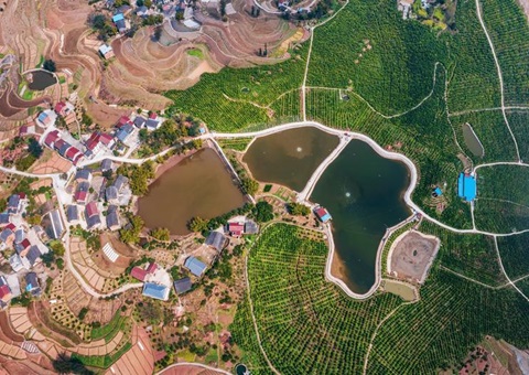 农刊行沉庆市分行：投放全市首笔全域地皮综合整治贷款