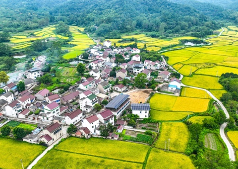 安徽省天然资源厅：130个乡镇耕地；こ删屯蛊 获赔偿激励1.3亿元