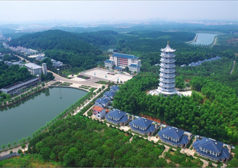 湖北：用好“一张图” ，智治有支持