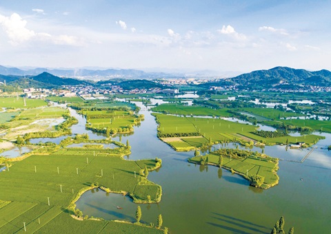 浙江率先完玉成国首个国度公园资产查究试点和全省域建设用地使用权情况查究。