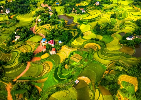 @农夫伴侣 2025年沉庆市耕地地力；げ怪婊戳