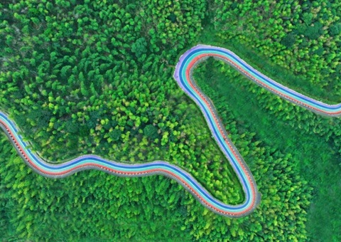 组合供给出新招，竹海收益节节高——桃江县“桃花江竹海”天然资源资产组合供给推动生态产品价值实现案例