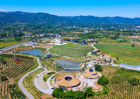 四川金堂：从“卖产品”到“卖景致”！村落规划铺路让橘香飘出新滋味