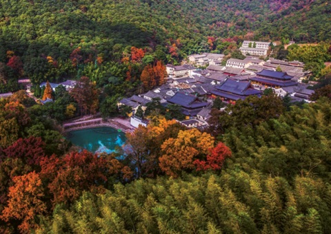 浙江：丛林公园生态游览若何高质量发展？